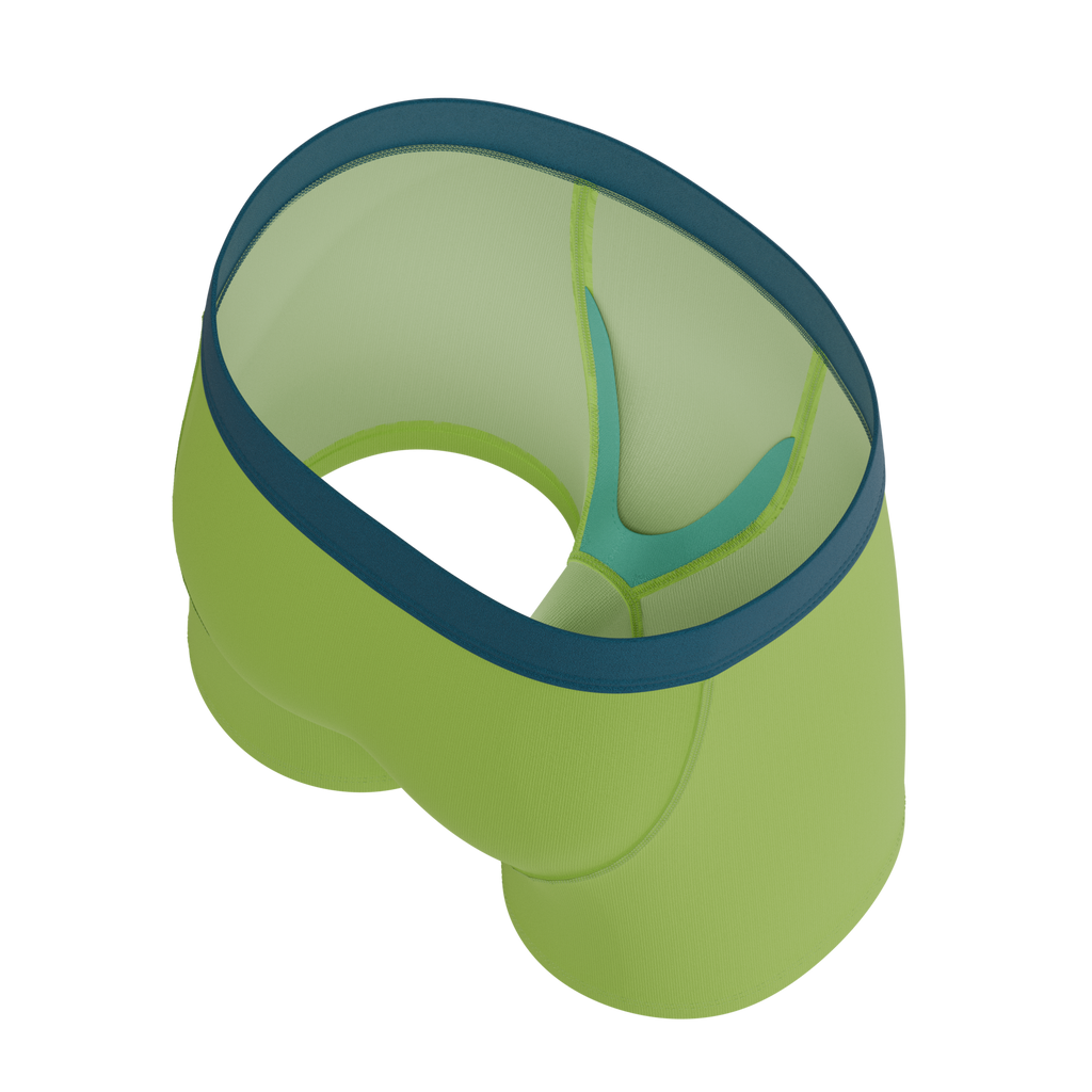 The Crazy For Crickets | Frog Youth Boxer Briefs - Shinesty