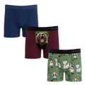 The Fall Trio | Youth Boxer Briefs 3 Pack - Shinesty