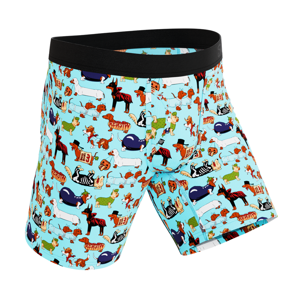 The Halloweenies | Halloween Dogs Ball Hammock® Boxer - Long Leg - Shinesty