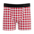 The Hot Diggity | Red Gingham Youth Boxer Briefs - Shinesty