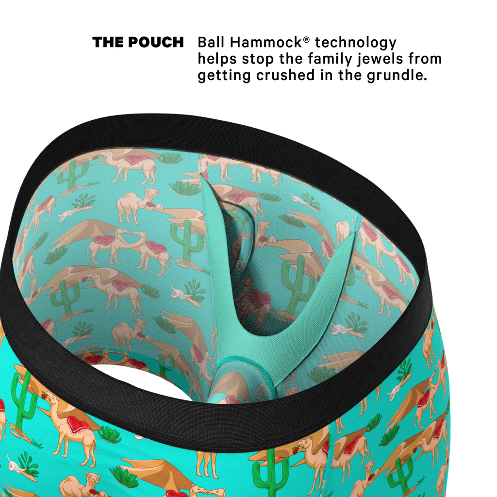 The Hump Day | Camels Ball Hammock® Pouch Underwear With Fly - Shinesty
