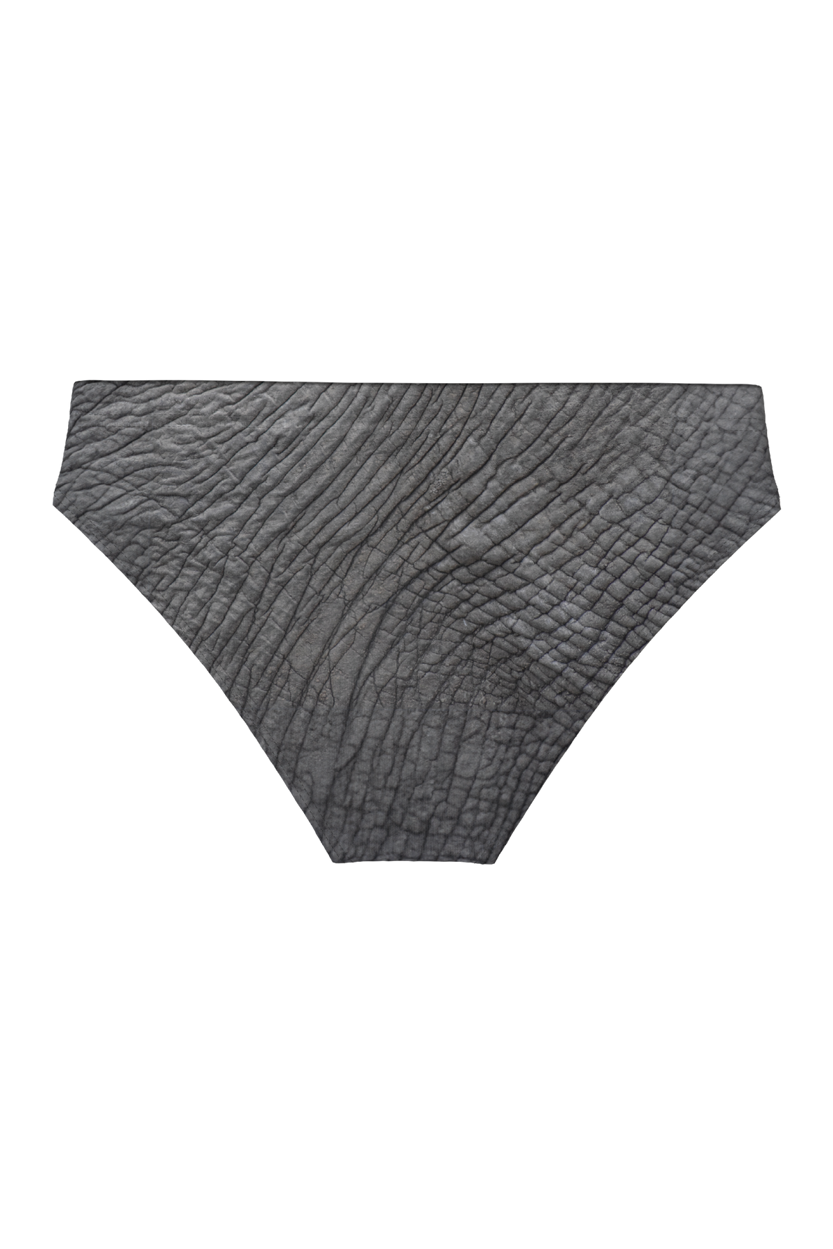 The Junk Trunk | Elephant Ball Hammock® Pouch Swim Briefs - Shinesty