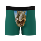 The Mad Lizard | Dinosaur Youth Boxer Briefs - Shinesty