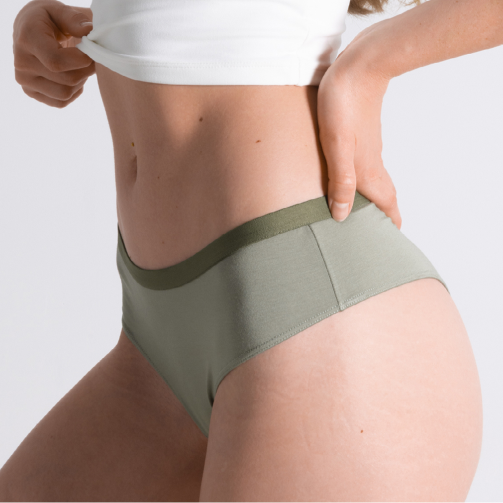 The Historical Bests | Cheeky Underwear 5 Pack - Shinesty