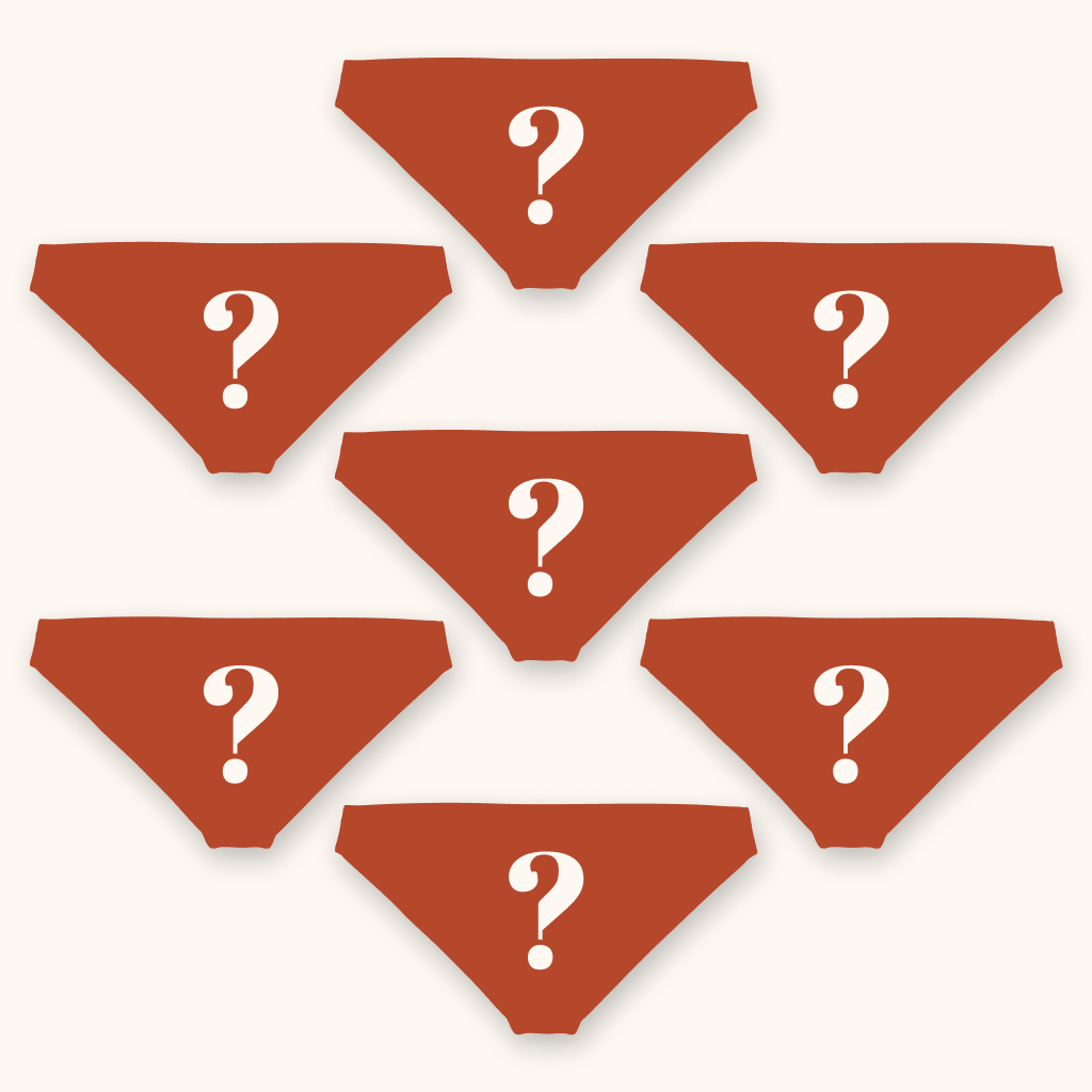 The Mystery | Bikini Underwear 7 Pack - Shinesty