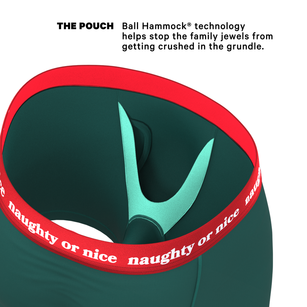 The Nice List | Flirty Waistband Ball Hammock® Pouch Underwear With Fly - Shinesty
