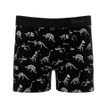 The Paleontologist | Glow in the Dark Dinosaurs Youth Boxer Briefs - Shinesty