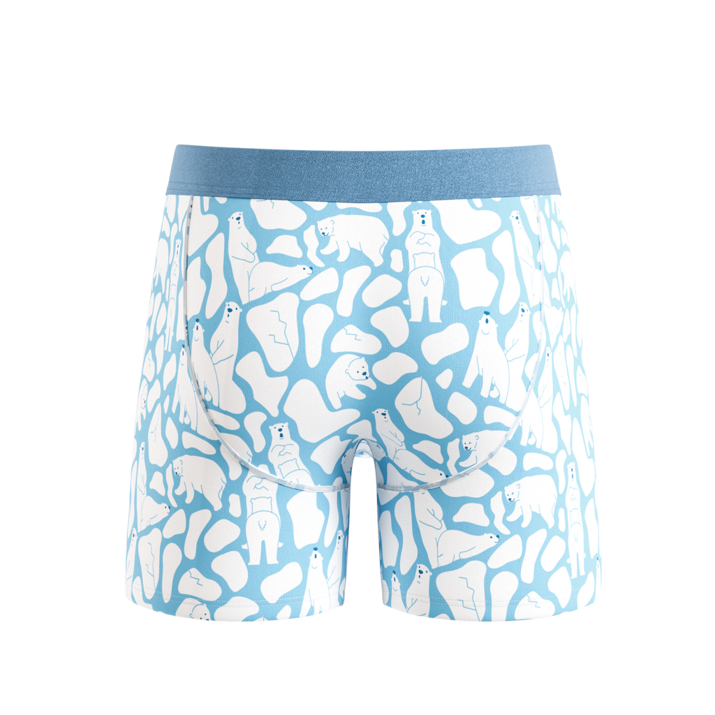 The Polar Polka | Polar Bear Scene Ball Hammock® Pouch Underwear - Shinesty