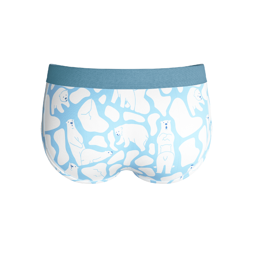 The Polar Polka | Polar Bear Scene Ball Hammock® Pouch Underwear Briefs - Shinesty