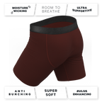 The Pony Express | Horse Ball Hammock® Boxer - Long Leg - Shinesty