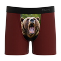 The Scare Bear | Grizzly Bear Youth Boxer Briefs - Shinesty