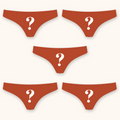 The Mystery Bundle | Women's Thong Underwear 5 Pack - Shinesty