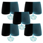 The Threat Level Midnight | Fart Proof Boyshort Underwear 5 Pack - Shinesty
