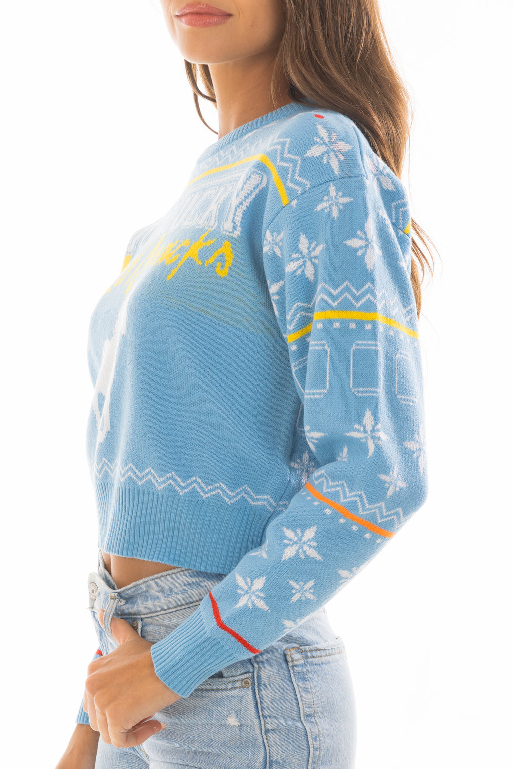 The Body Coozie | Montucky Holiday Cropped Sweater - Shinesty