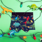The T-Rexmas | Christmas Dinosaur Youth Boxer Briefs - Shinesty