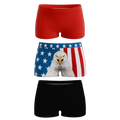 The Patriot | Boyshort Underwear 3 Pack - Shinesty