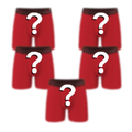 The Mystery Bundle | Ball Hammock® Pouch Boxer Briefs with Fly 5 Pack - Shinesty