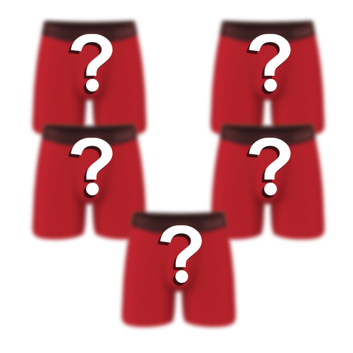 The Mystery Bundle | Ball Hammock® Pouch Boxer Briefs with Fly 5 Pack - Shinesty