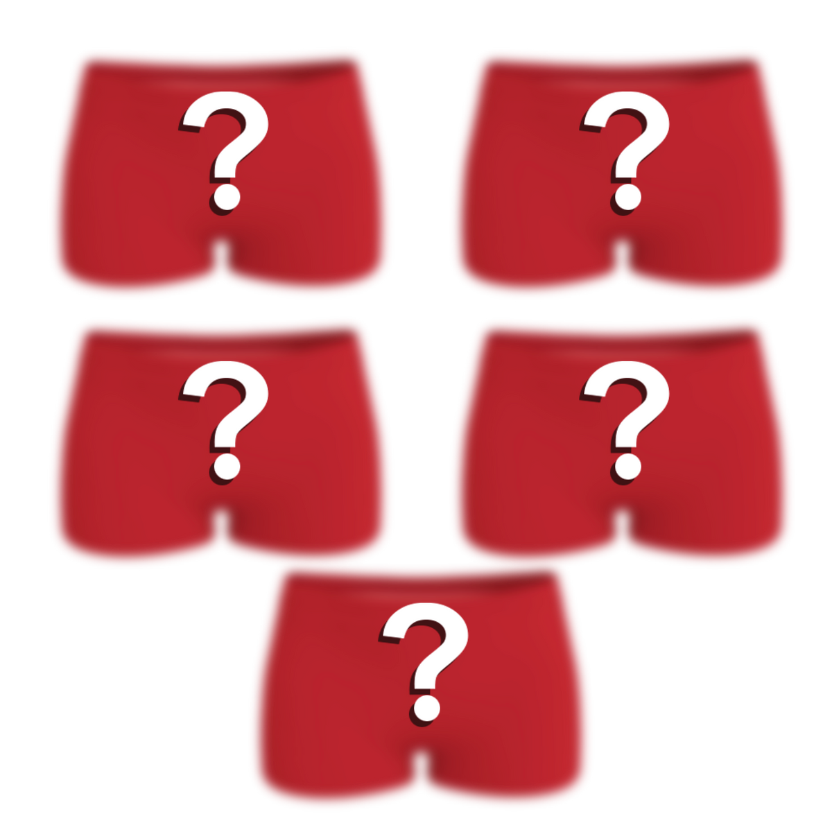 The Mystery Bundle | Boyshort Underwear 5 Pack - Shinesty