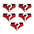 The Mystery Bundle | Cheeky Underwear 5 Pack - Shinesty