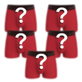 The Mystery Bundle | Ball Hammock® Pouch Trunks Underwear 5 Pack - Shinesty