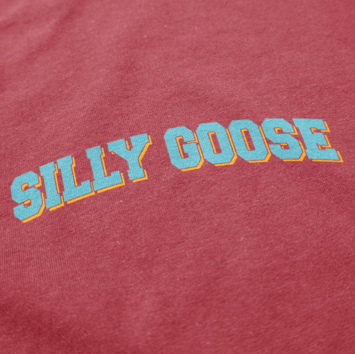 Silly Goose Academy T Shirt - Shinesty