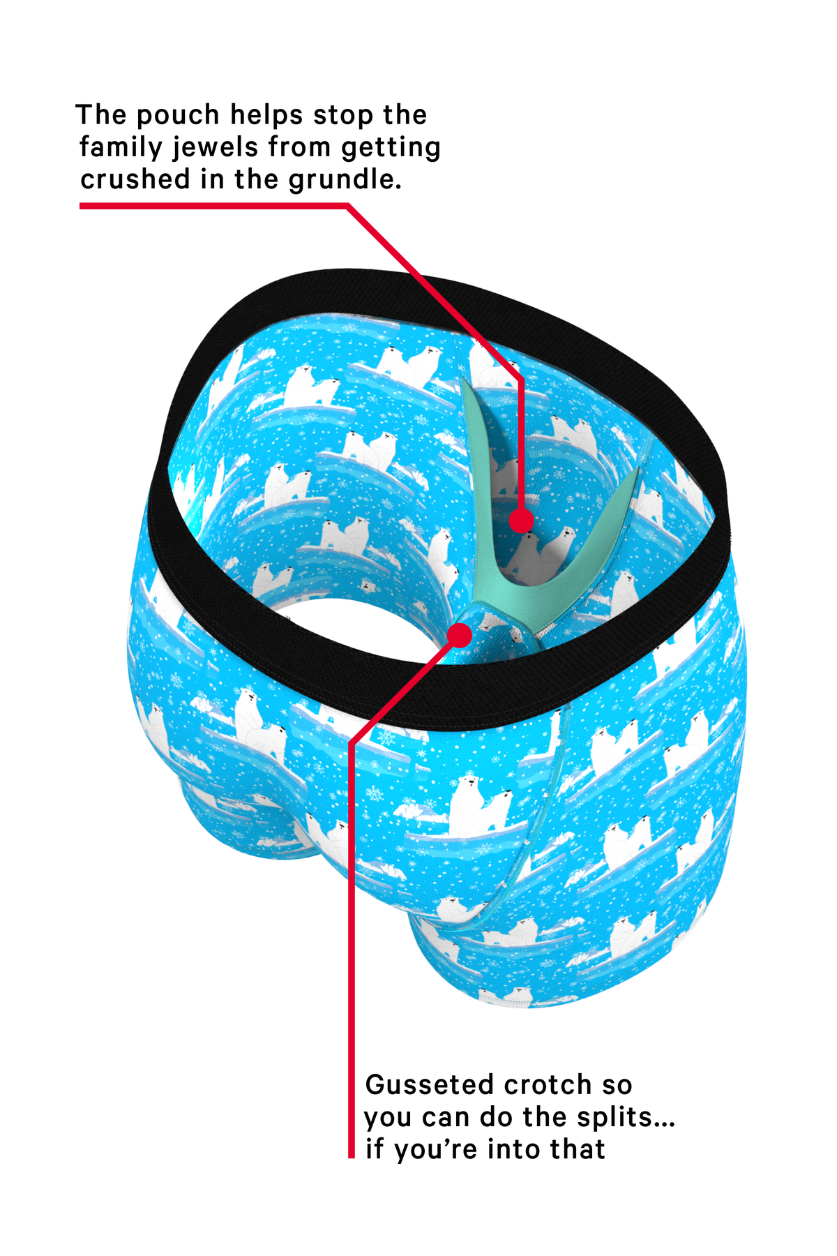 The Polar Plunge | Polar Bear Ball Hammock® Boxer and Cheeky Underwear Pack - Shinesty