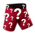 The Mystery | Surprise Ball Hammock® Boxer - Long Leg - Shinesty
