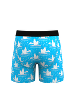 The Polar Plunge | Polar Bear Ball Hammock® Boxer and Cheeky Underwear Pack - Shinesty