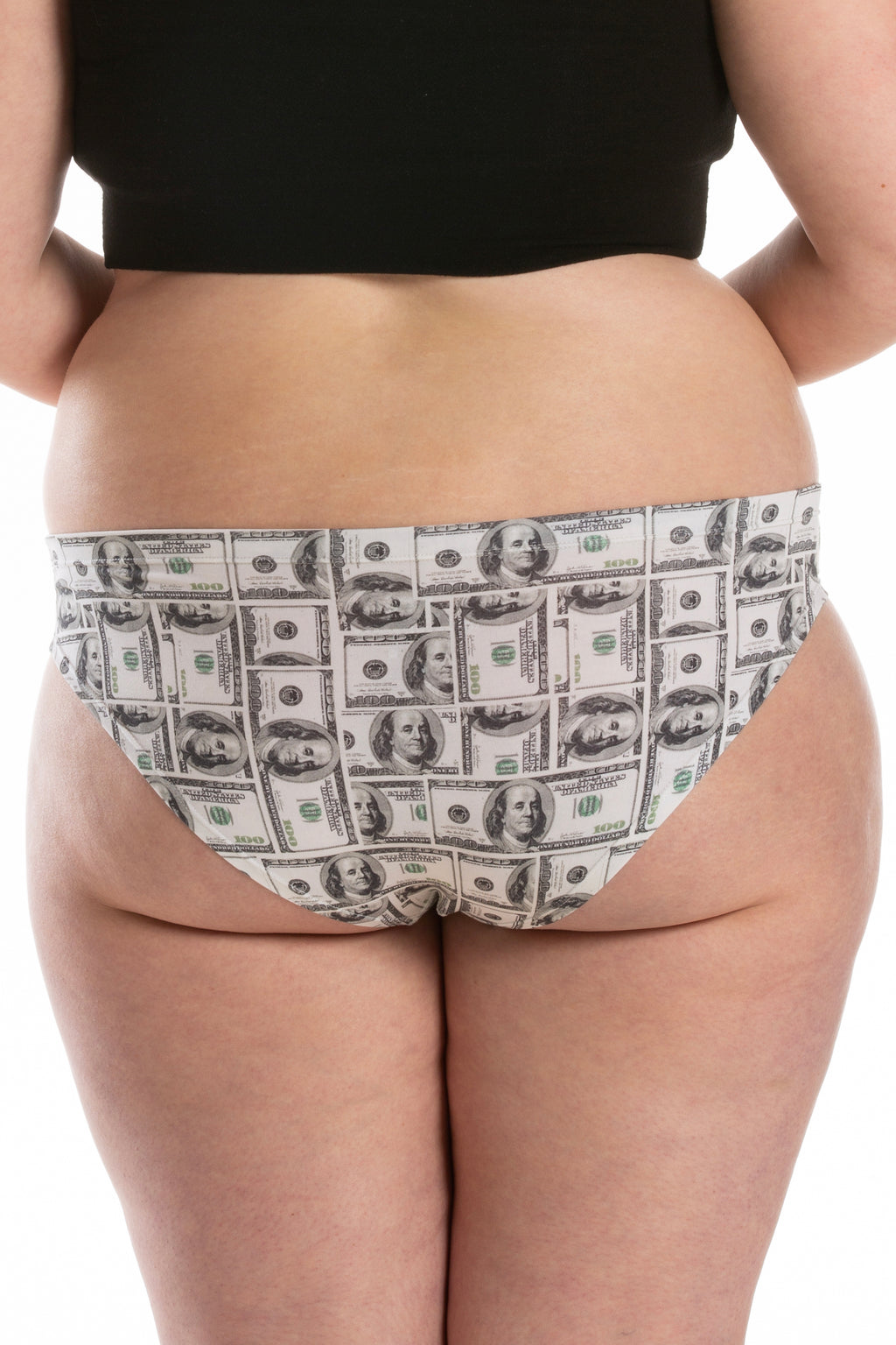 The High Roller | Money Modal Bikini Underwear - Shinesty