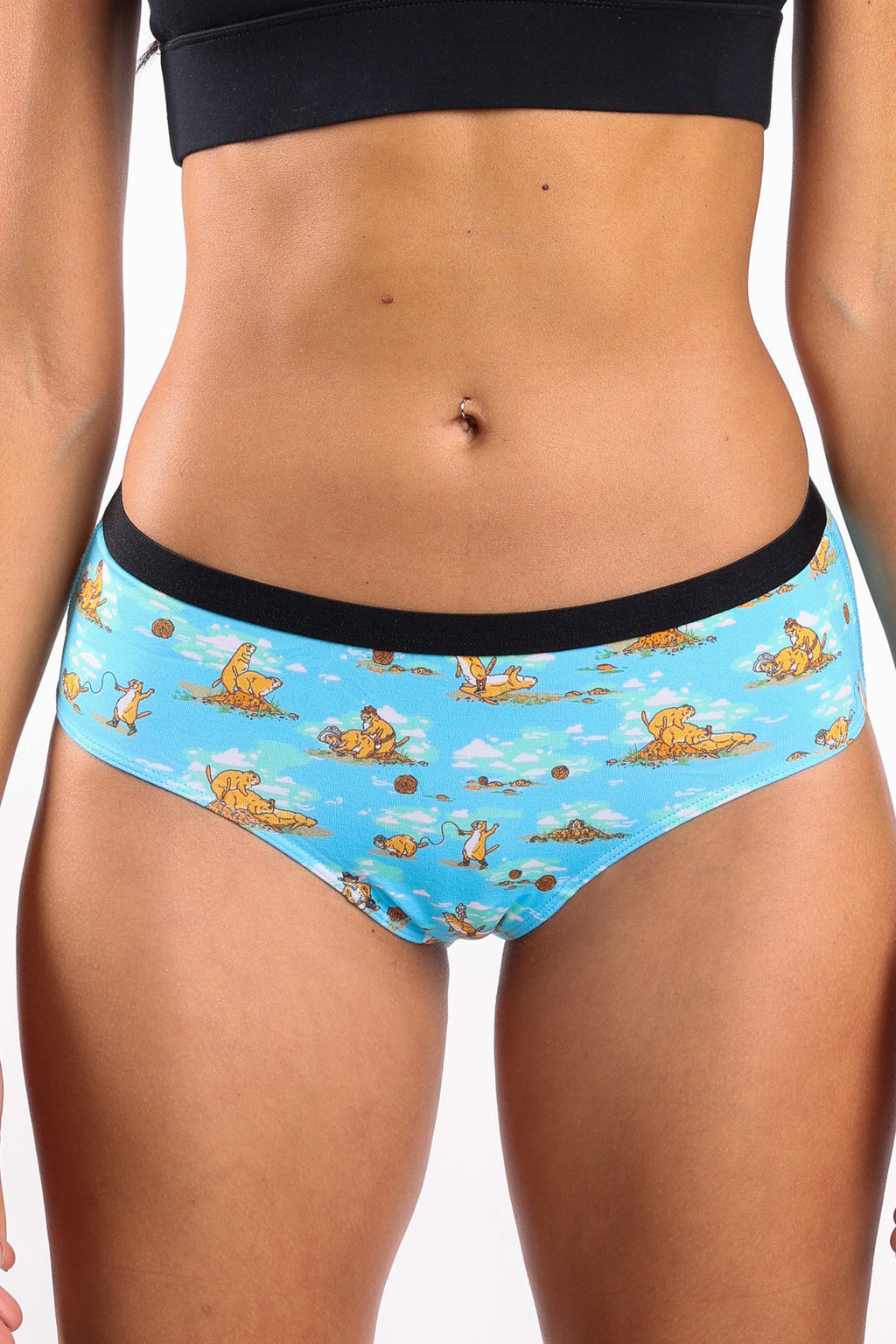 The Brokeback Mounted | Prairie Dog Cheeky Underwear - Shinesty