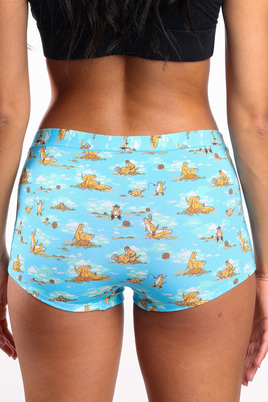 The Brokeback Mounted | Prairie Dog Modal Boyshort Underwear - Shinesty