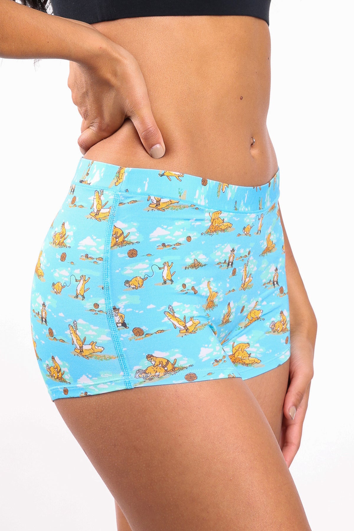 The Brokeback Mounted | Prairie Dog Modal Boyshort Underwear - Shinesty