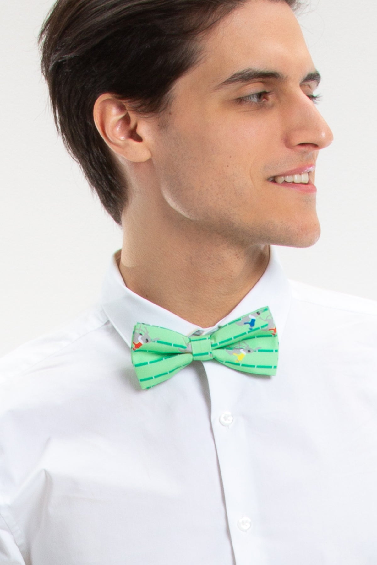 The Louisville | Derby Horse Racing Stripe Bow Tie - Shinesty