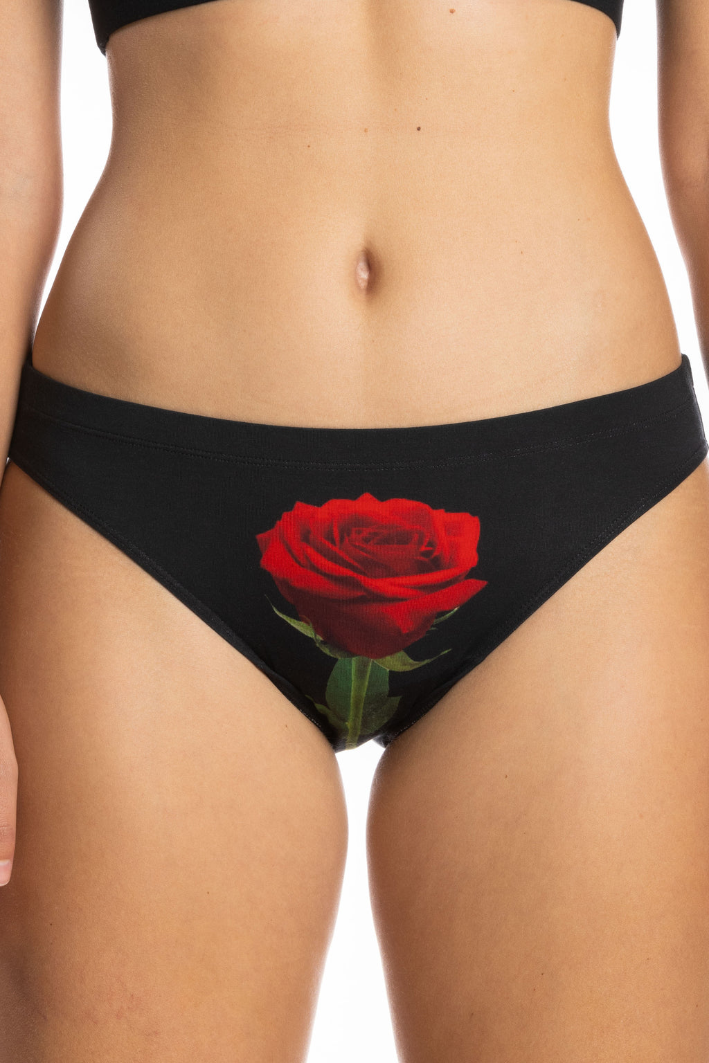 The Right Reasons | Rose Modal Bikini Underwear - Shinesty