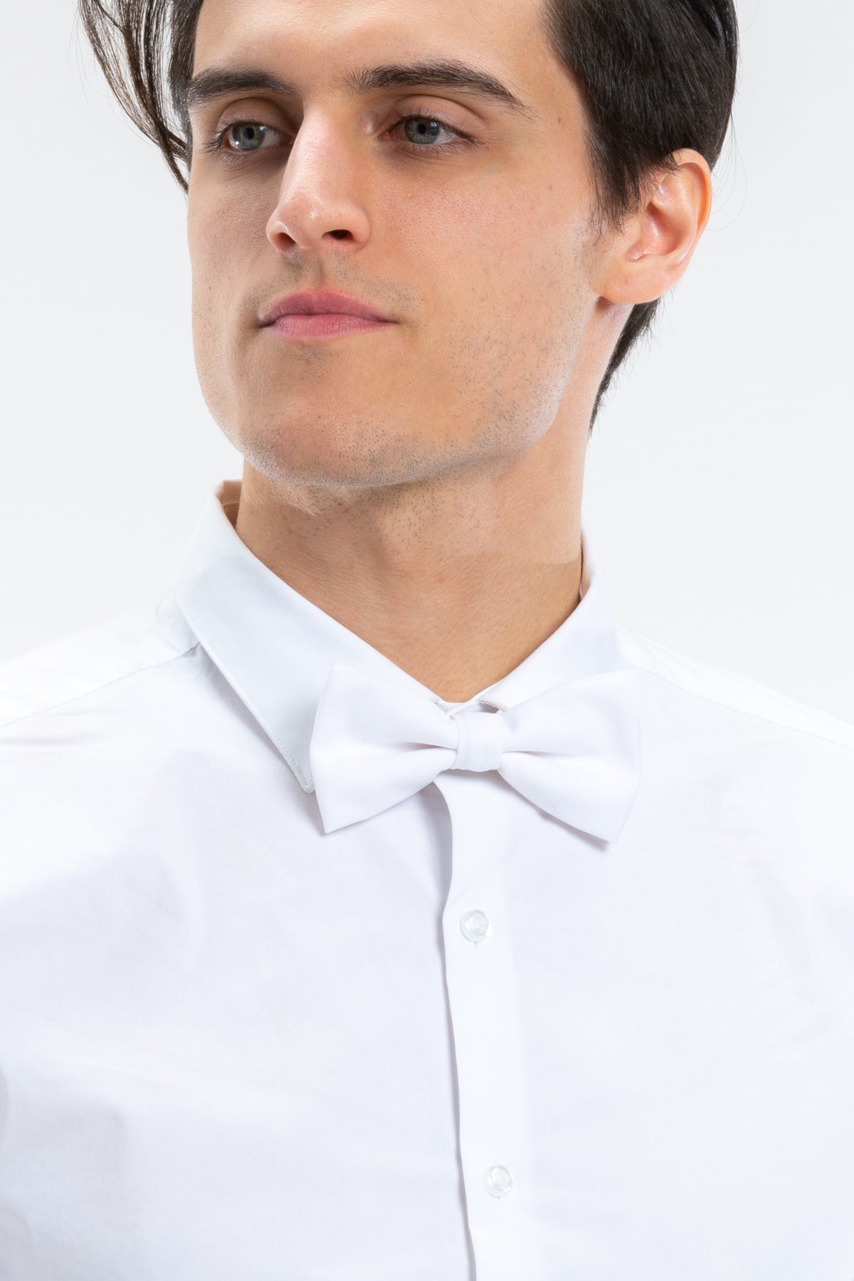 The White Tiger | White Bow Tie - Shinesty